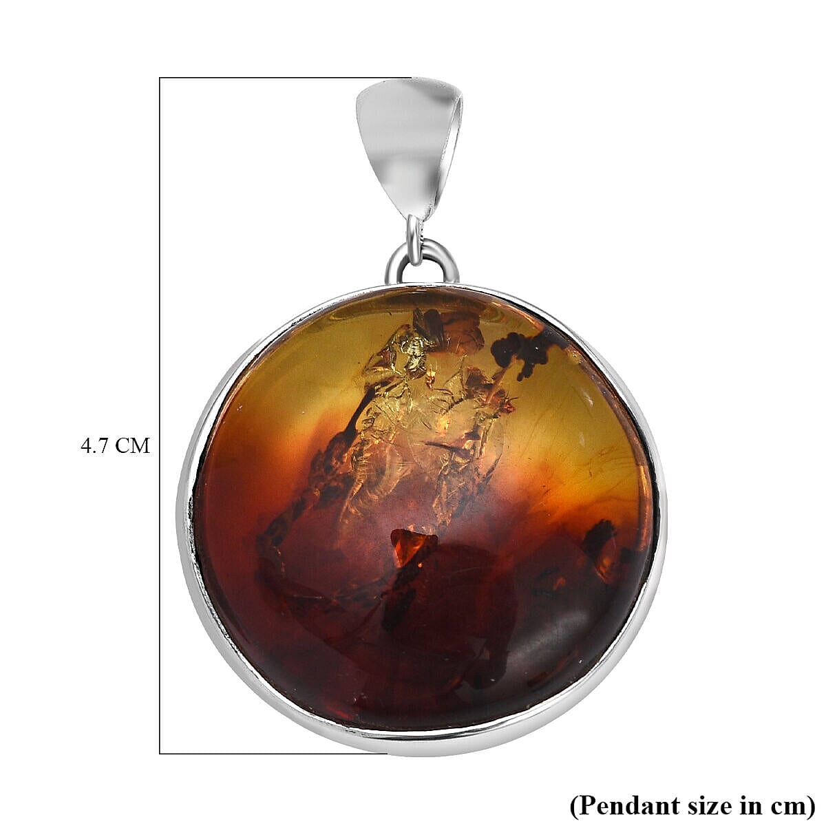 Tucson Special- Amber Pendant in Platinum Overlay Sterling Silver. 7346877 4