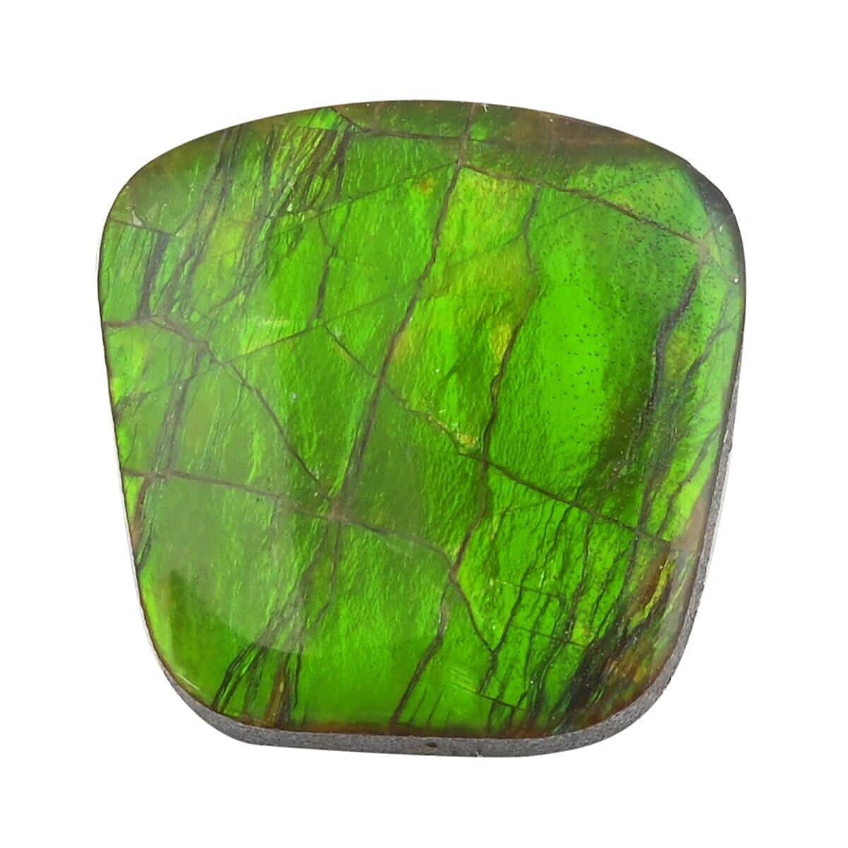 Ammolite Loose Gemstone in Free Size Varies 7730656 0