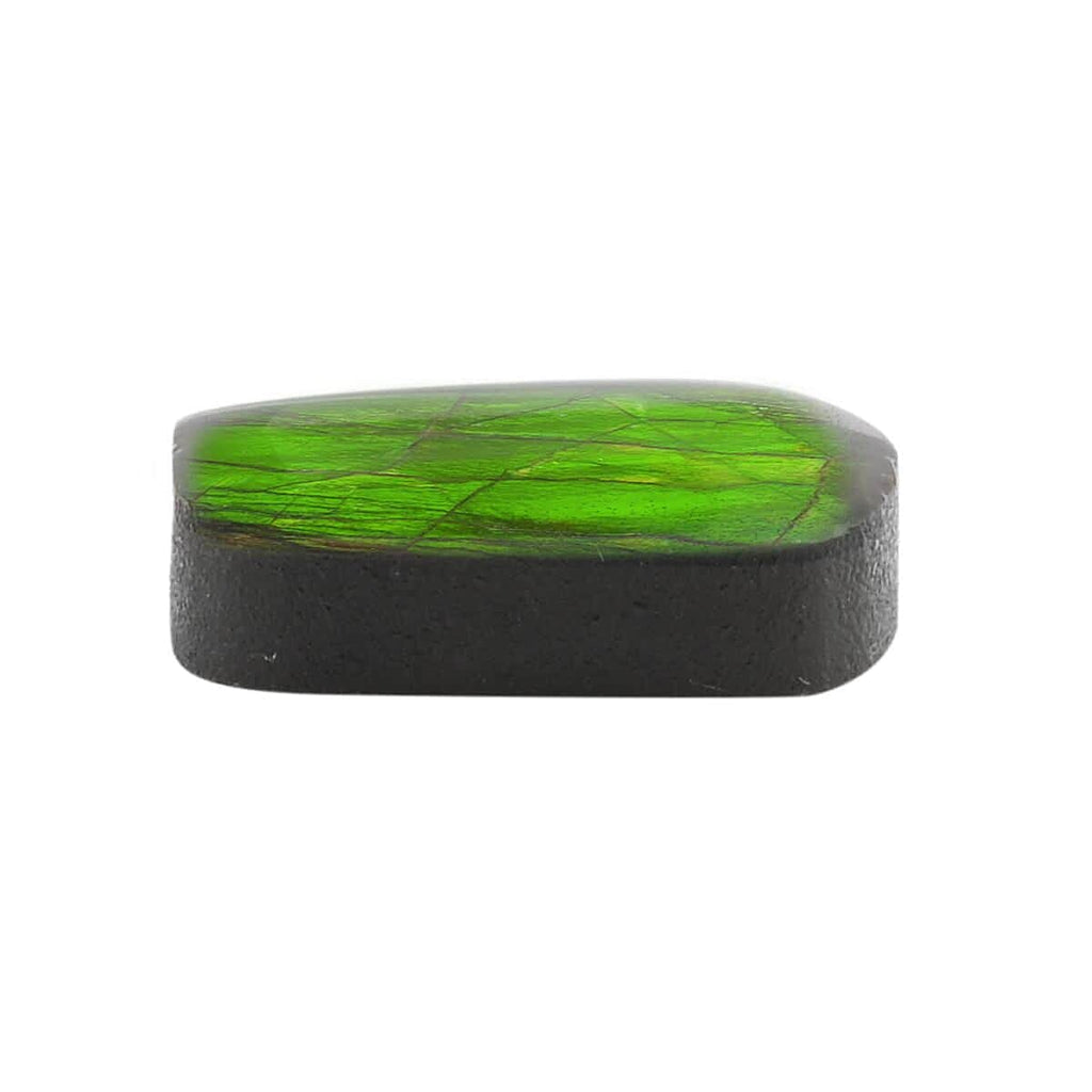 Ammolite Free Size Varies