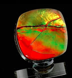 Ammolite Free Size Varies