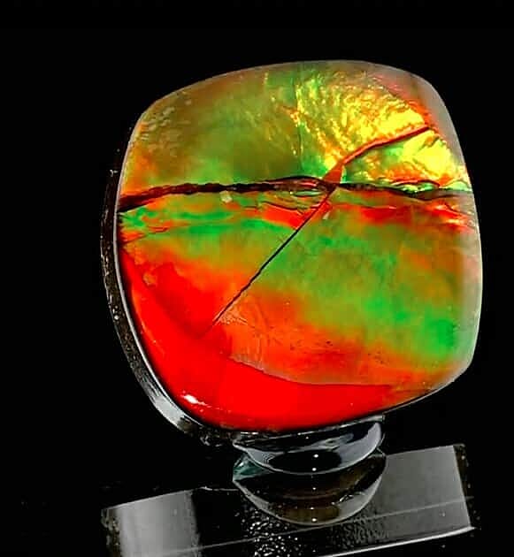 Ammolite Loose Gemstone in Free Size Varies 7730656 3