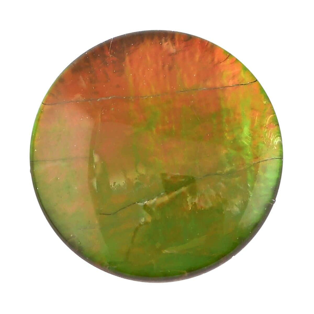 Ammolite Round 11 mm