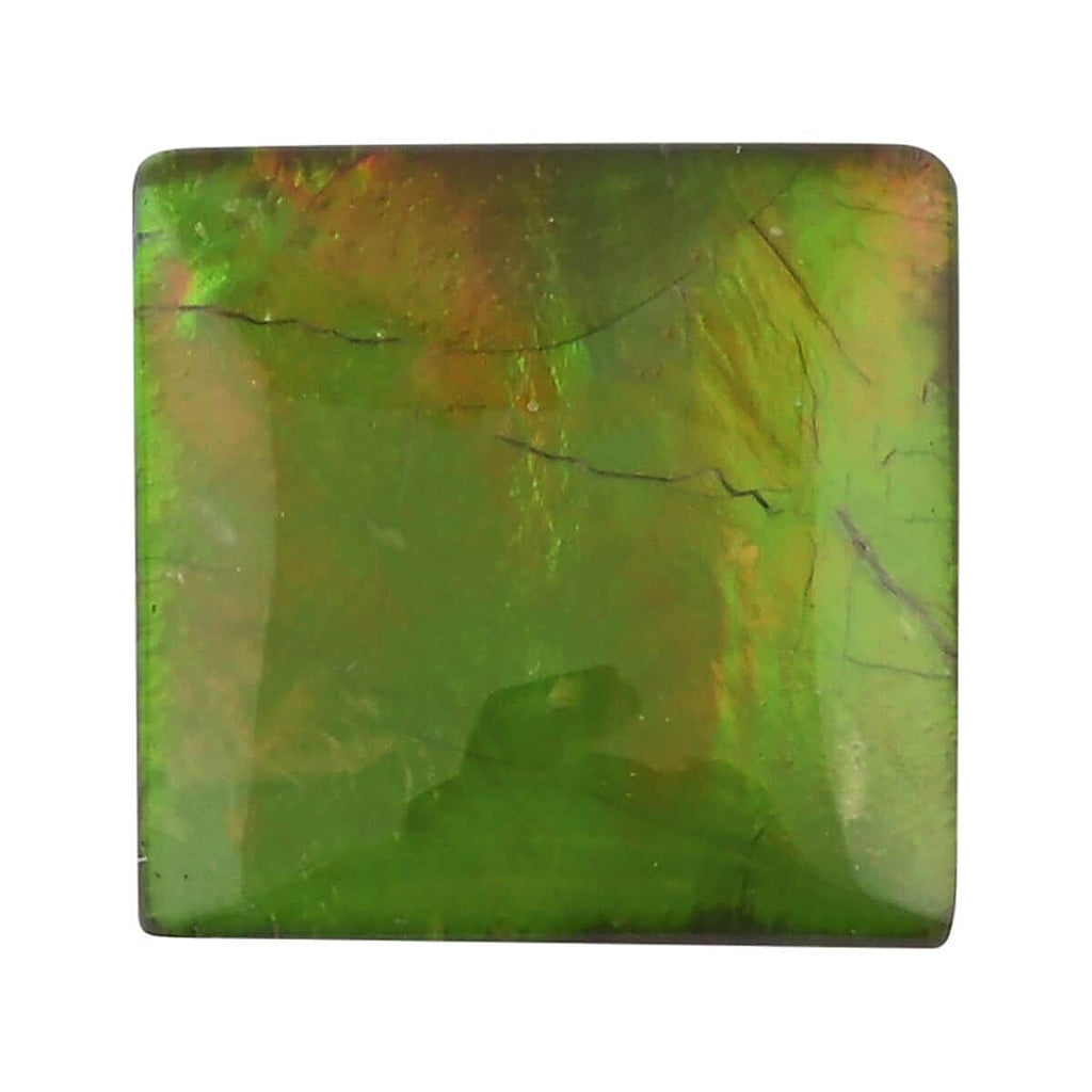 Ammolite Square 9x9 mm