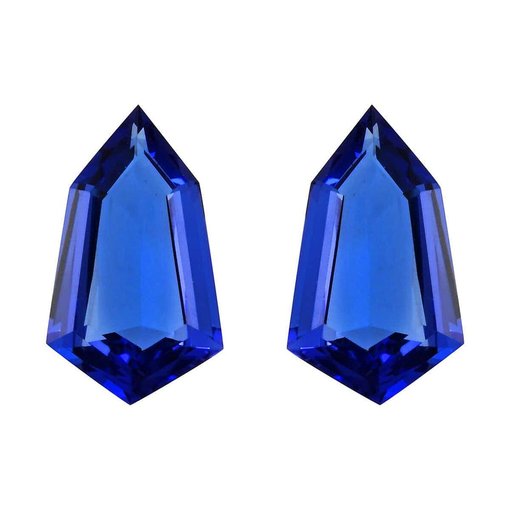 Tanzanite Fancy 17.6X10.1 mm