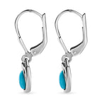 Arizona Sleeping Beauty Turquoise Dangle Earrings in Platinum Overlay Sterling Silver