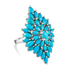 Arizona Sleeping Beauty Turquoise Ring in Platinum Overlay Sterling Silver 5.02 Ct, Silver Wt 6.10 Gms