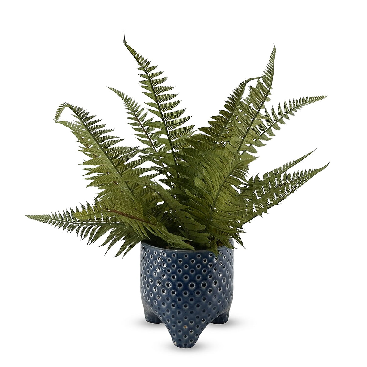 Artificial Fern Plant in Textured Ceramic Pot 7809999 1