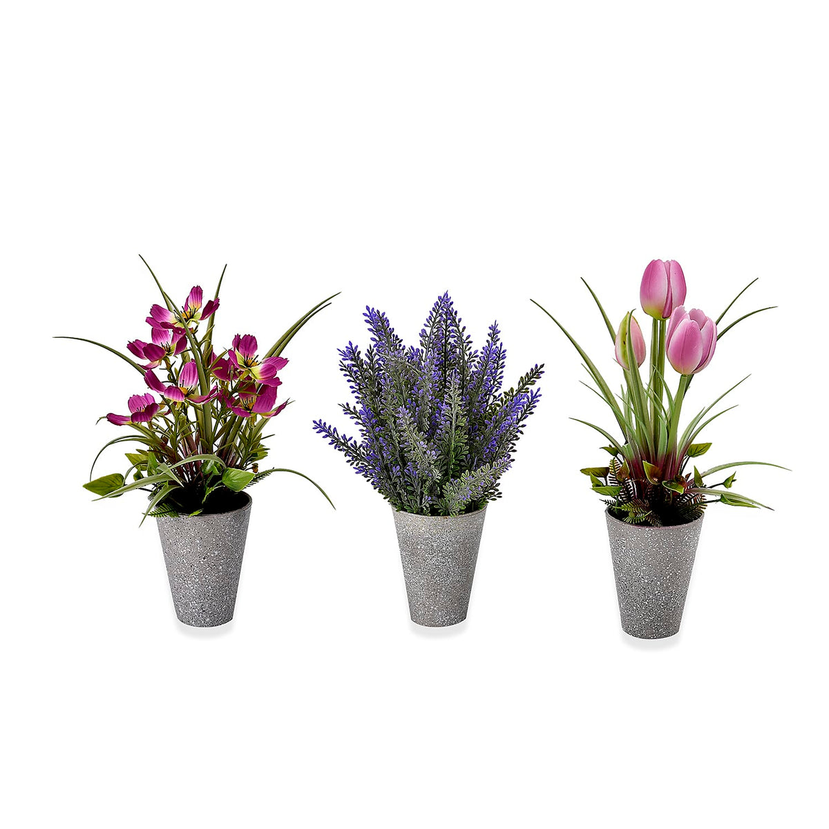 Set of 3 Potted Flower Plants - Carnation, White Rose and Orchids 7700098 2