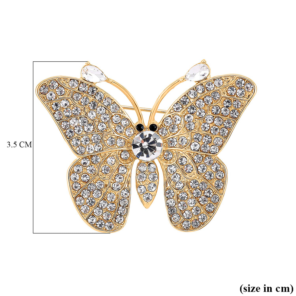 Austrian Black &amp; White Crystal Butterfly Brooch in Yellow Gold Colour Tone V32647958 5