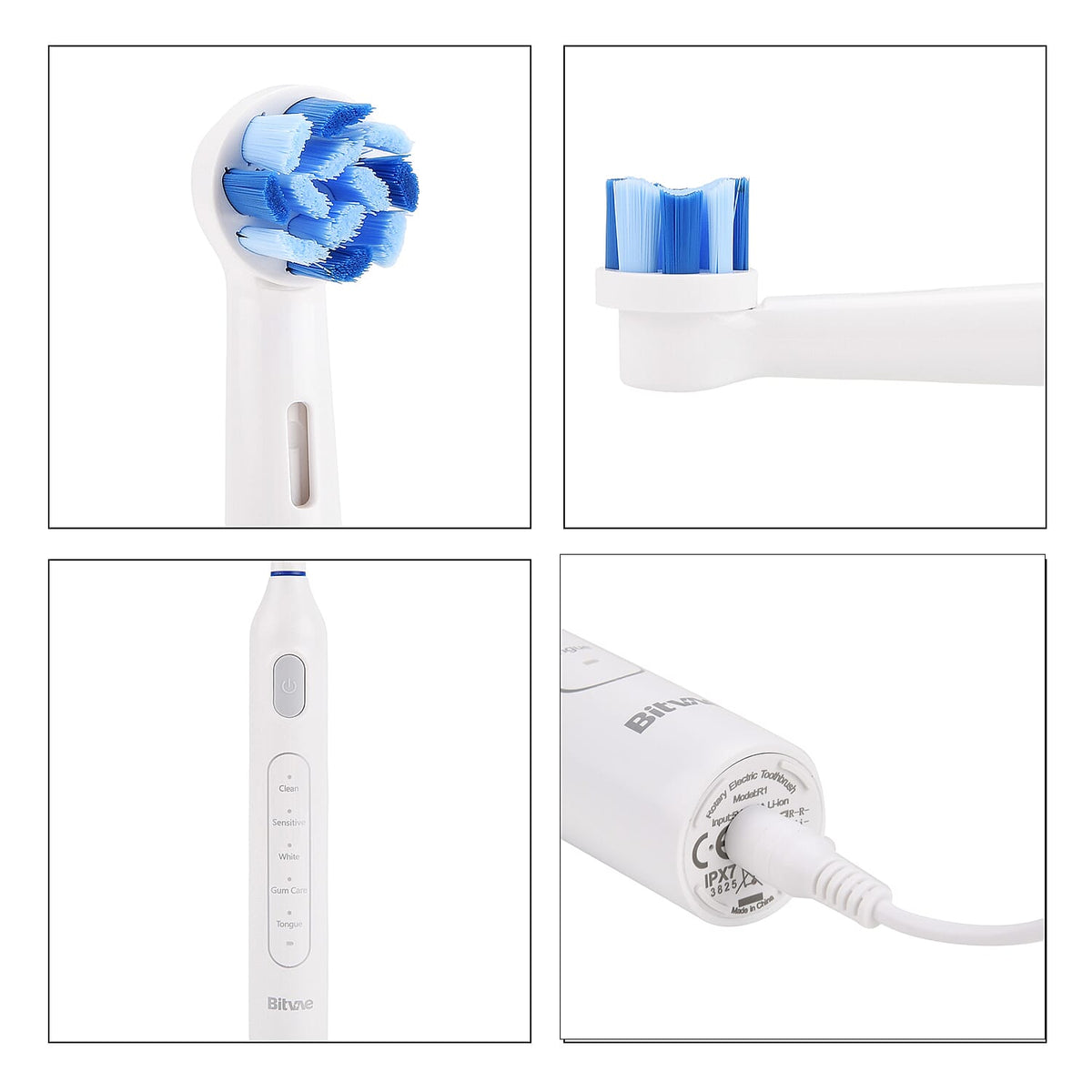 Bitvae: Rotating Electric Toothbrush with 60-Day Battery Life | 5 Modes, USB Charging, 2-Minute Smart Timer and 8 Dupont Brush Heads (IPX7)- WHITE 8243723 8