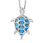 Tucson Find- Blue Turquoise Pendant with Chain (Size 20) 5.19 Ct.