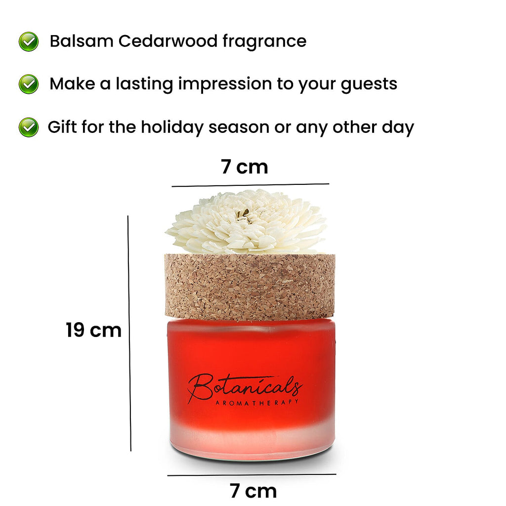Botanical Aroma Therapy Room Diffuser with Sola Flower in Roasted Jar (120 ml) - Red