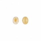 Butterscotch Amber Earring with Push Back in Sterling Silver 2.50 Ct.