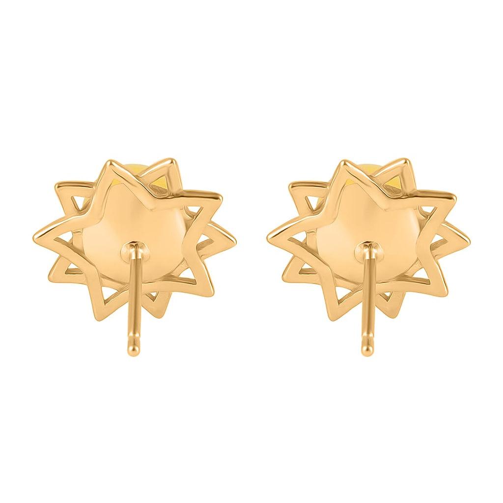 Butterscotch Amber Push Back Earrings in Gold Plated Sterling Silver