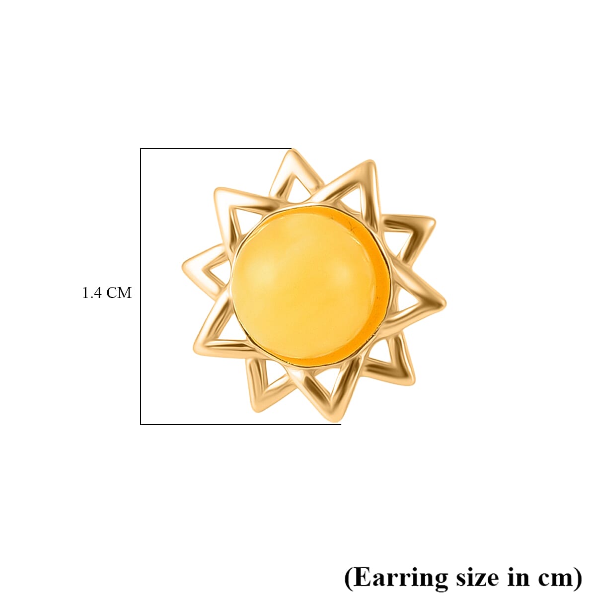 Butterscotch Amber Push Back Earrings in Gold Plated Sterling Silver 8059618 5