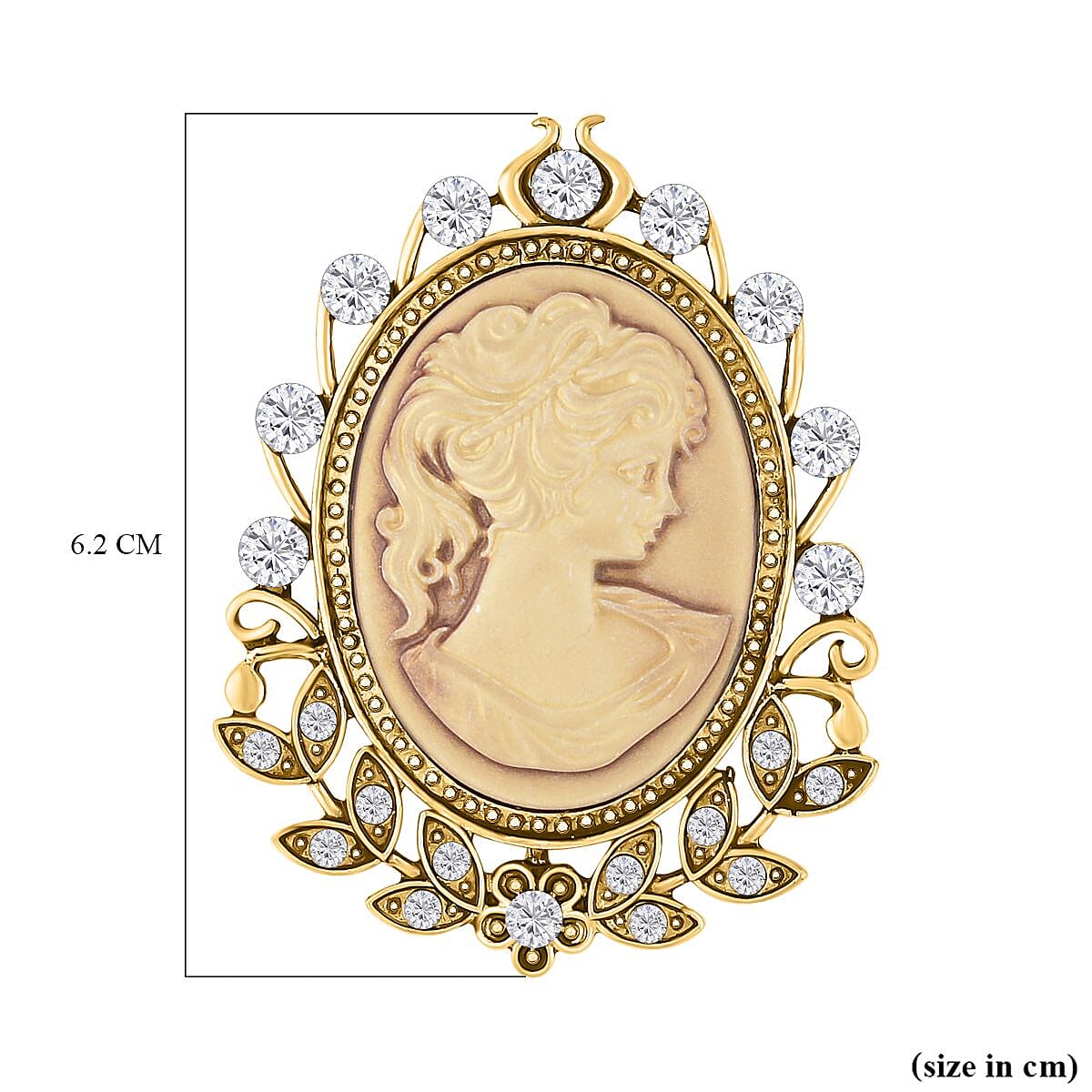 Brown Cameo &amp; White Crystal Brooch in Yellow Gold Tone 10.01 Ct. 7490612 5