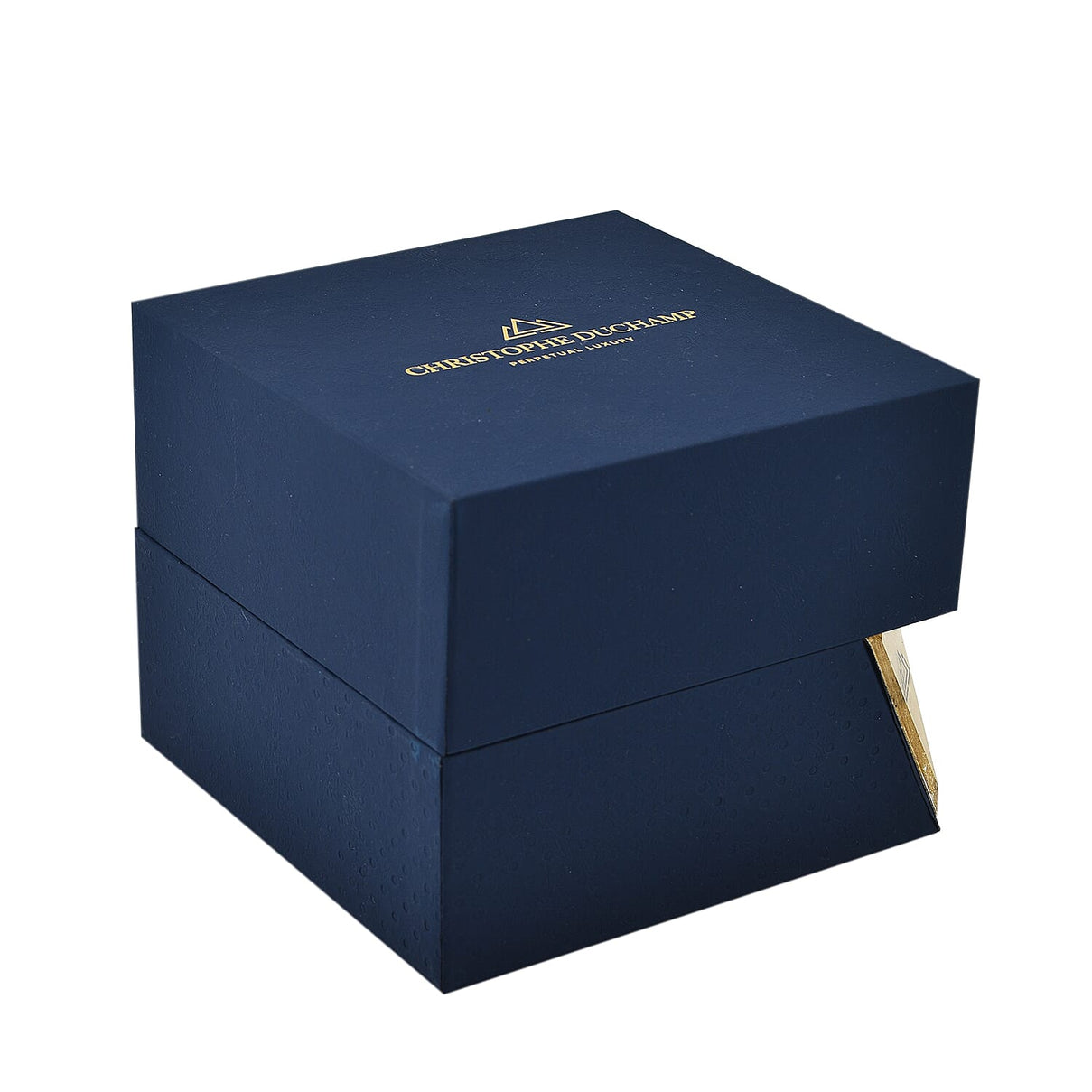 Christophe Duchamp Lugano Swiss Quartz Movt. Blue Dial 50 ATM Water Resistant Watch with Silver Chain Strap 7725465 7