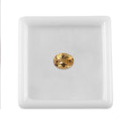 Citrine Oval 9x7 mm