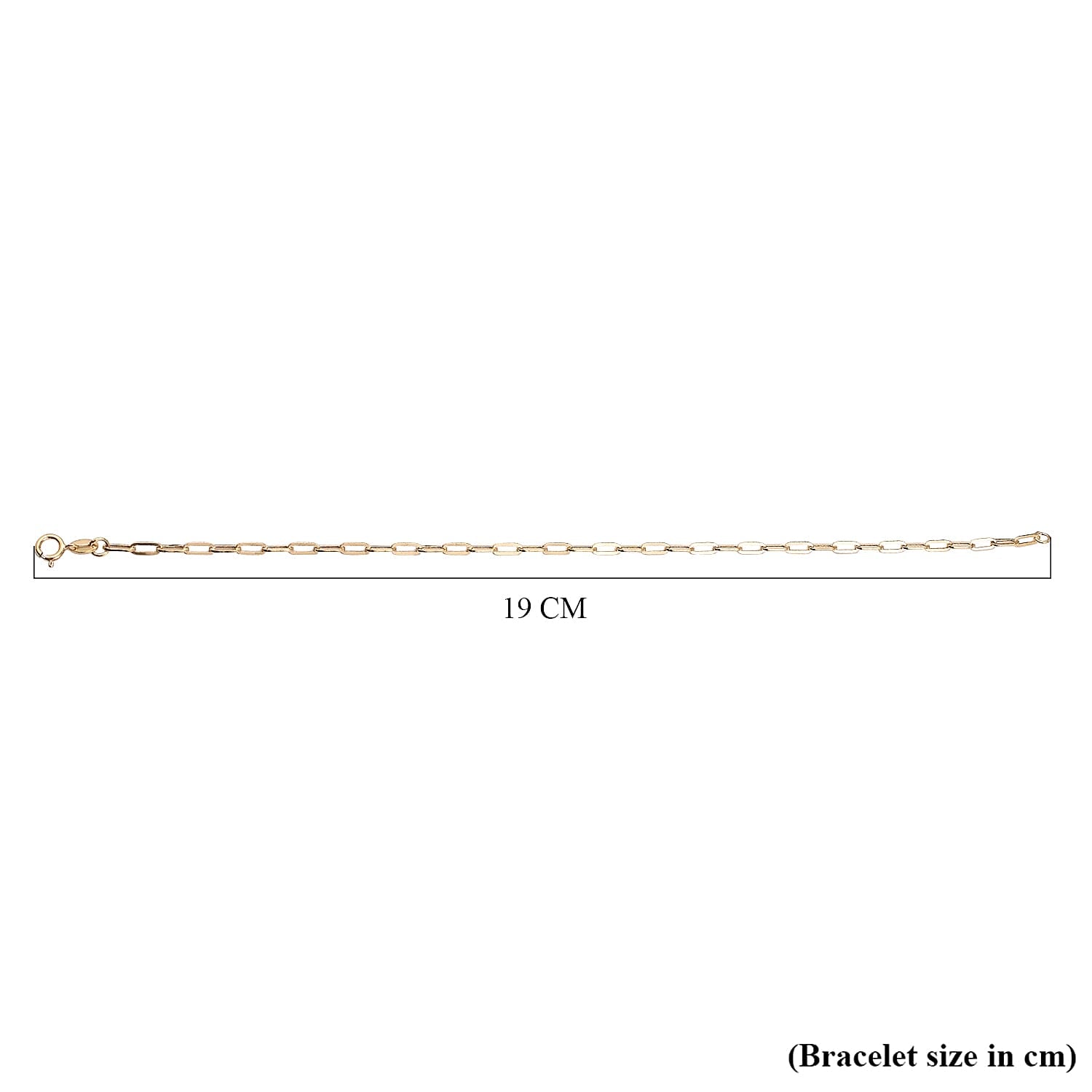 9K Yellow Gold Paperclip Bracelet (Size - 7) with Spring Ring Clasp 7155423 5
