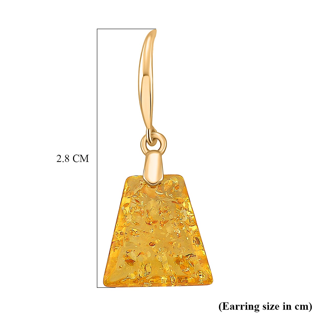 D'Joy Amber Beads Earring with Hook in Yellow Gold Plated Sterling Silver 15.00 Ct. V32521235 6