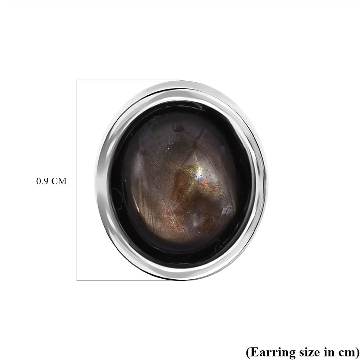 D'Joy Black Star Sapphire Stud Earring with Push Back in Rhodium Overlay Sterling Silver 5.54 Ct. 8266621 5
