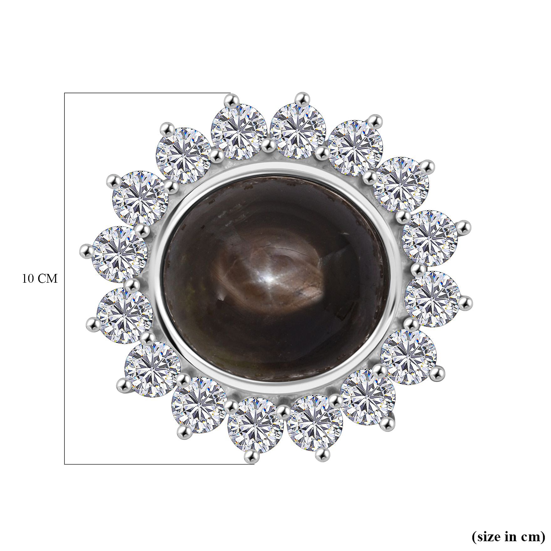 D'Joy Chantaburi Black Star Sapphire &amp; Natural Zircon Brooch in Rhodium Overlay Sterling Silver 12.07 Ct. 8266623 5