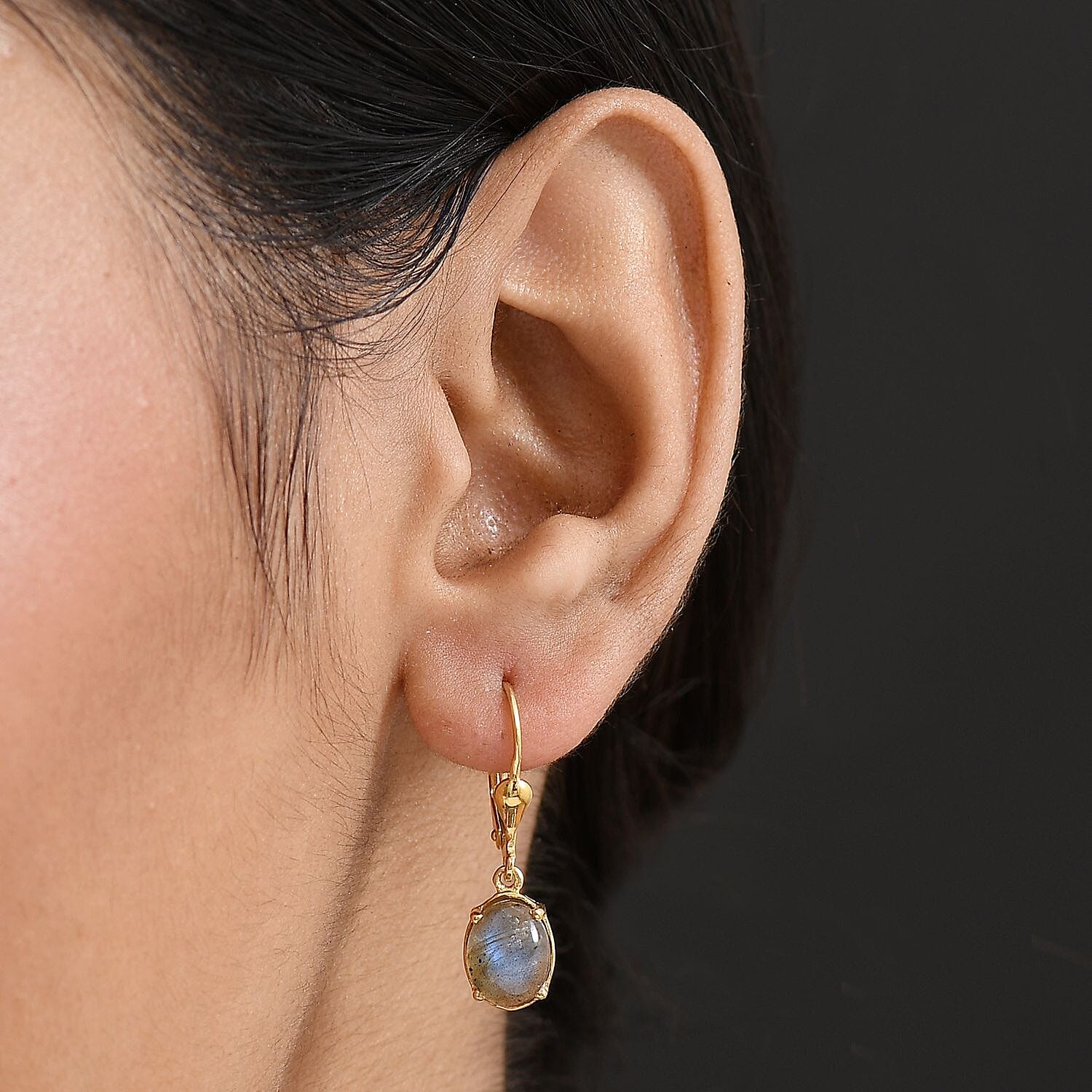 D'Joy Labradorite Earring in Yellow Gold Plated Sterling Silver 3.83 Ct. 8247520 3
