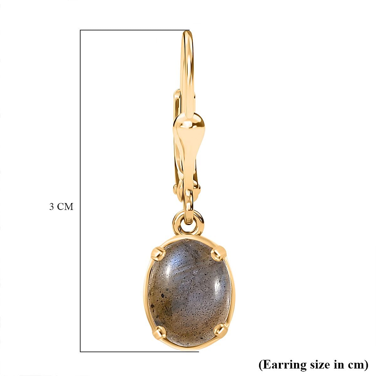 D'Joy Labradorite Earring in Yellow Gold Plated Sterling Silver 3.83 Ct. 8247520 6