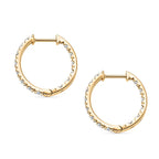 D'Joy Moissanite Full Hoop Earring in Yellow Gold Plated Sterling Silver