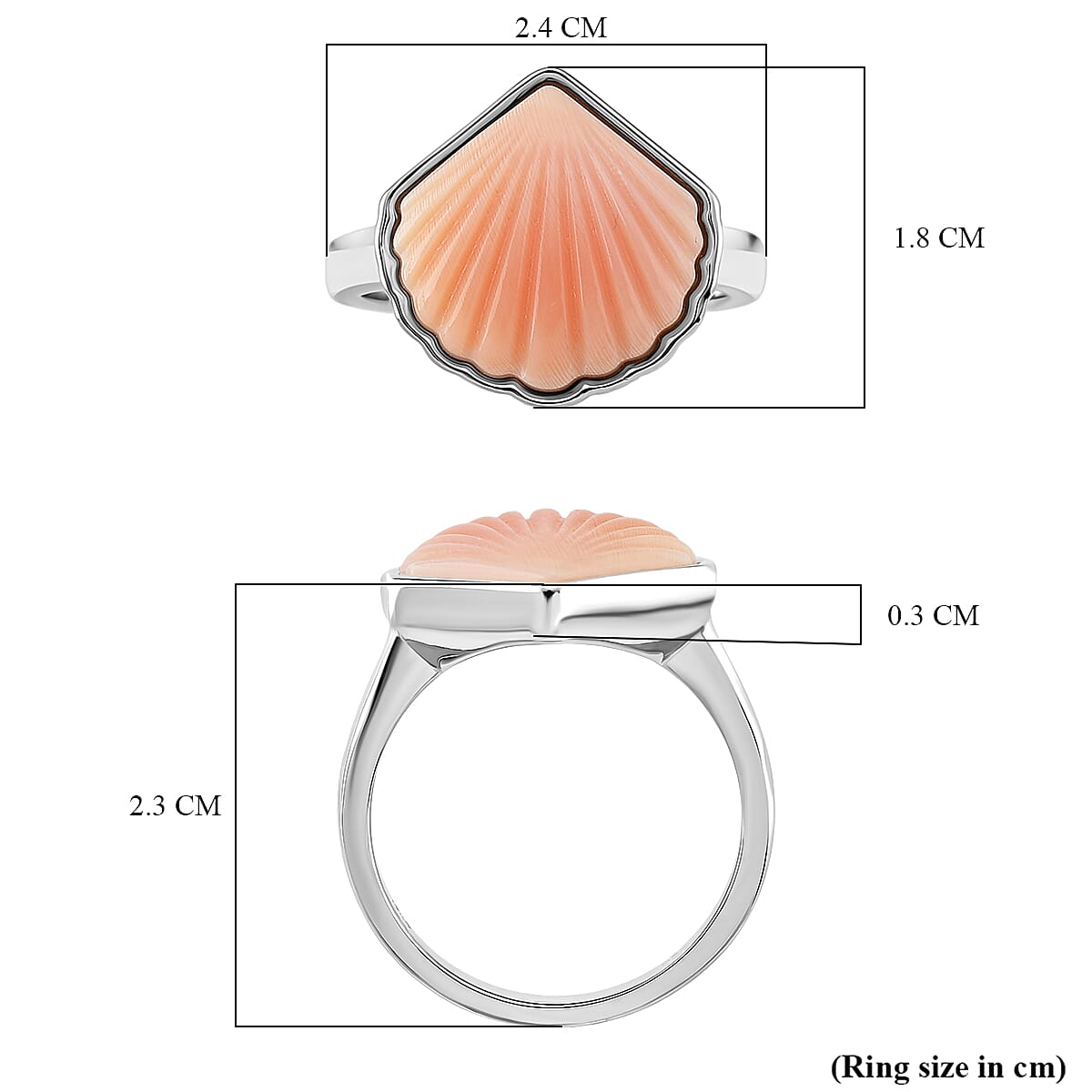 Queen Conch Shell Ring in Rhodium Overlay Sterling Silver 6.06 Ct. 8244895 5