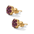 D'Joy - Radiant Ember Garnet Cluster Earring with Push Post in Yellow Gold Plated Sterling Silver 2.27 Ct.