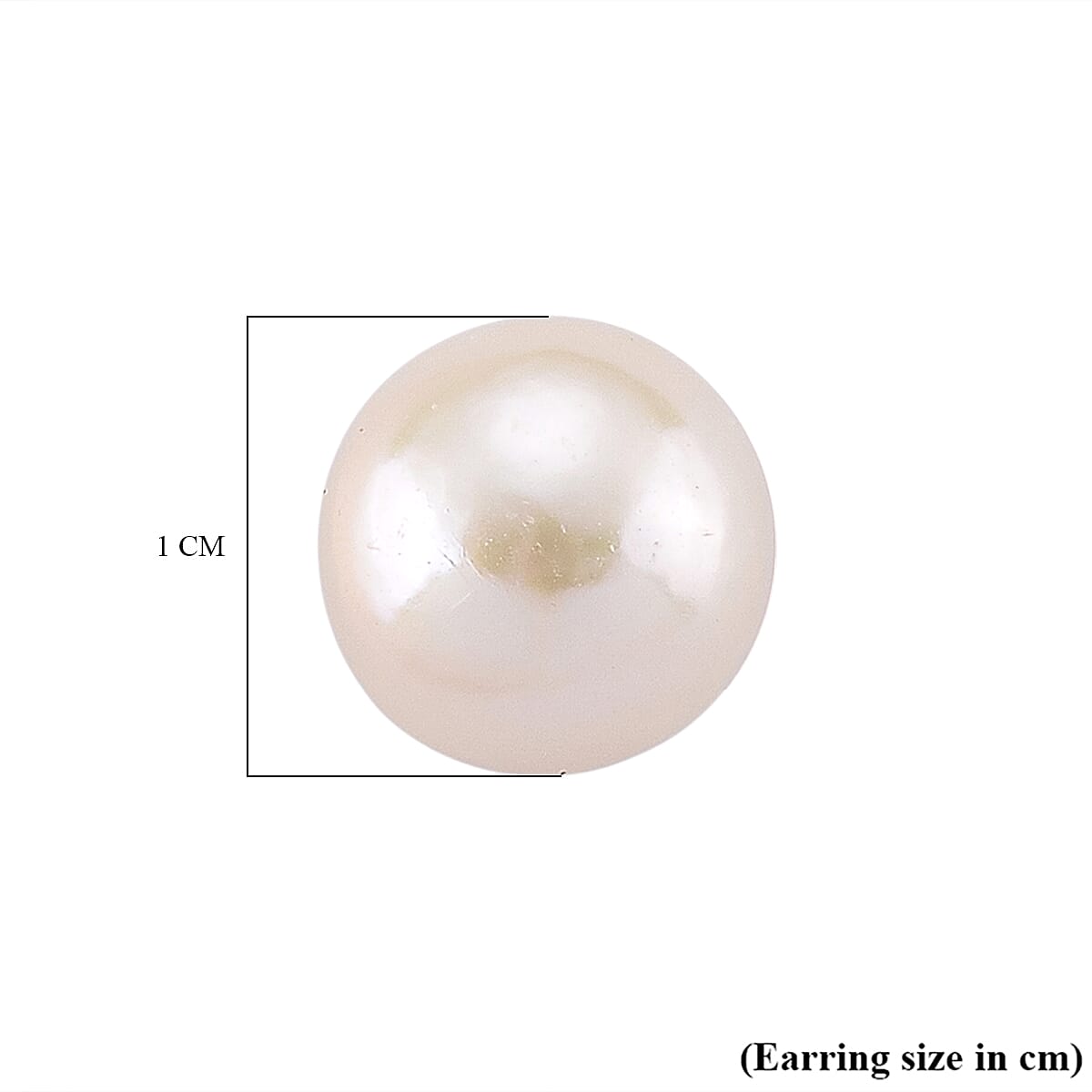 Premium White Edison Pearl (10MM) Earrings with Push Backs in Rhodium Overlay Sterling Silver 8315800 6