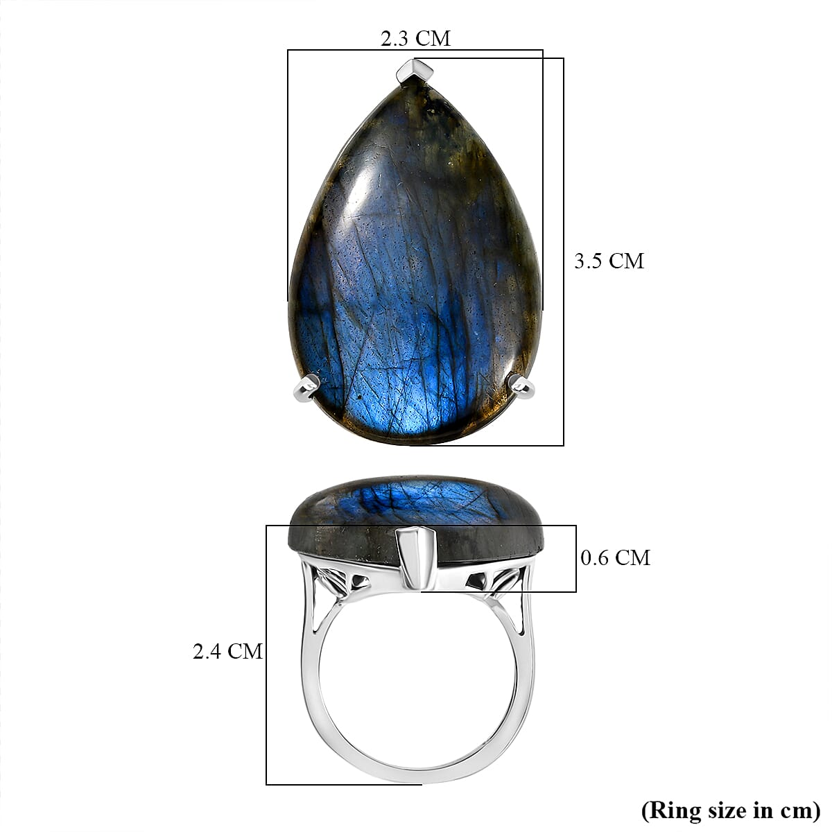 D'joy AAA Labradorite Solitaire Ring in Platinum Overlay Sterling Silver 35.43 Ct. 8184703 5