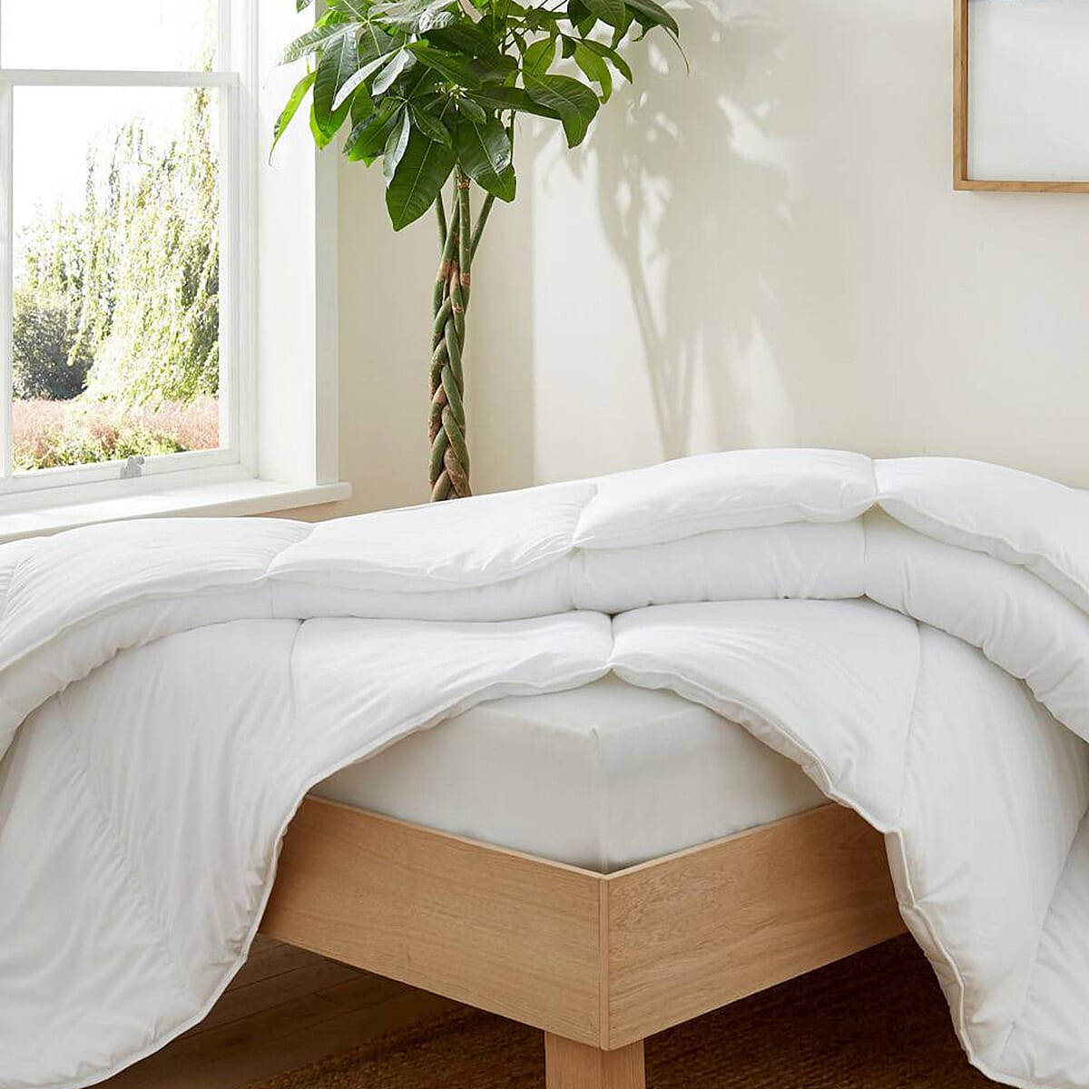 DOD- Martex For You For Me Dual (10.5 - 4.5) Tog Duvet (King) - White 8347117 0