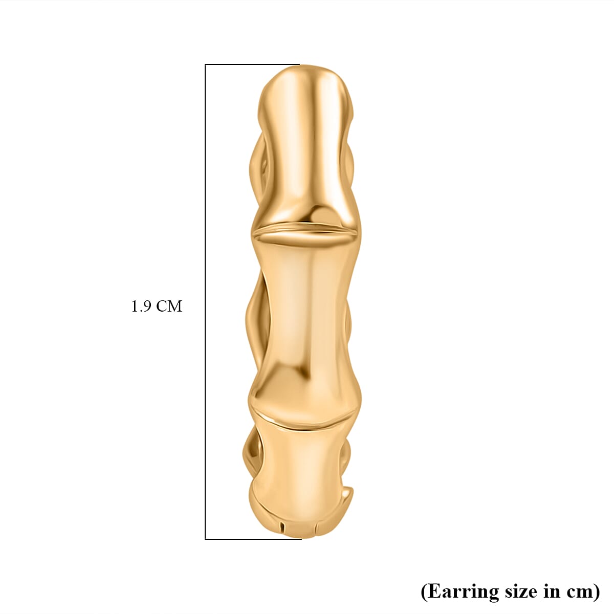 Designer Inspired - Sterling Silver Bamboo Hoop Earring in Yellow Gold Plating 8165366 5
