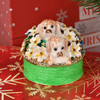 Hand Painted Dog Trinket Box Enamelled & Jewelled With Sparking Crystals - Green