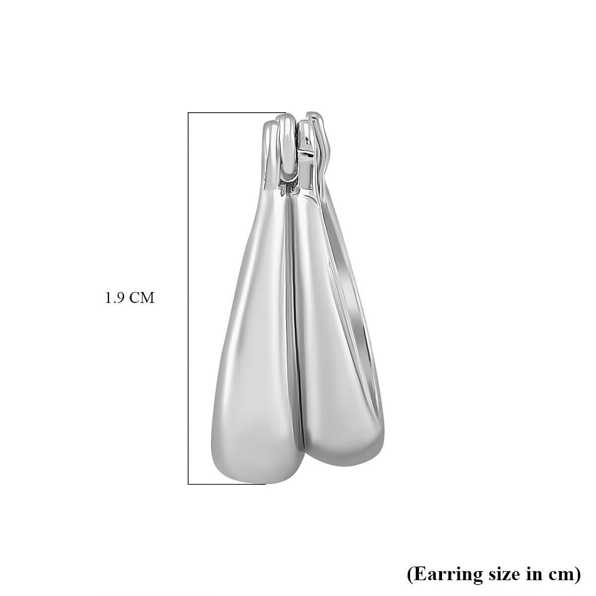 Designer Closeout - Fancy Hoop Earrings - Silver Colour 7879655 5