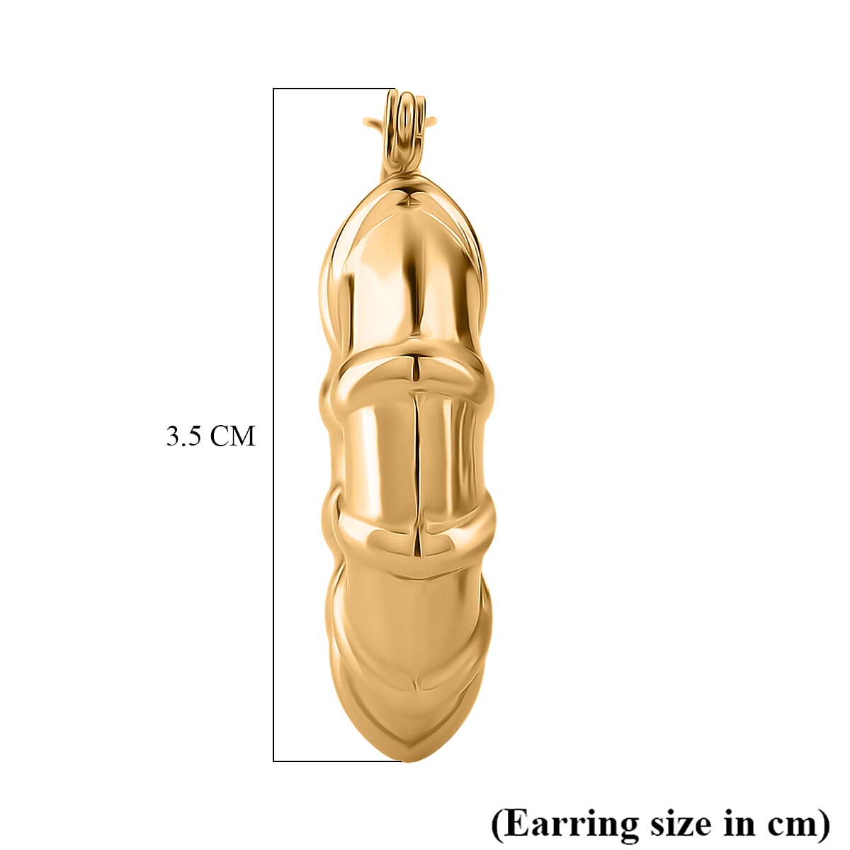 Bamboo Hoop Earring with Clasp 7998921 5