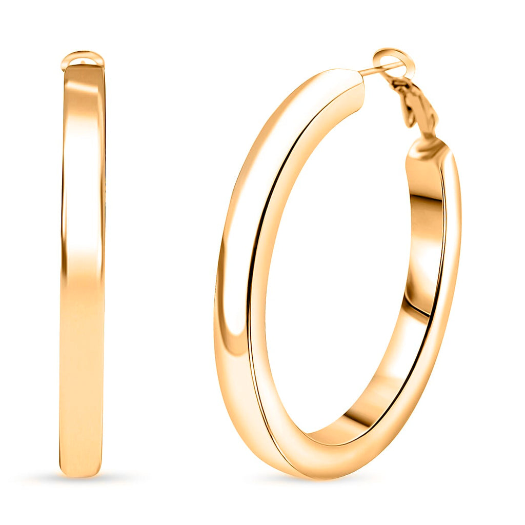 Close Out Deal - Designer Inspired Hoop Earring with Fancy Clasp
