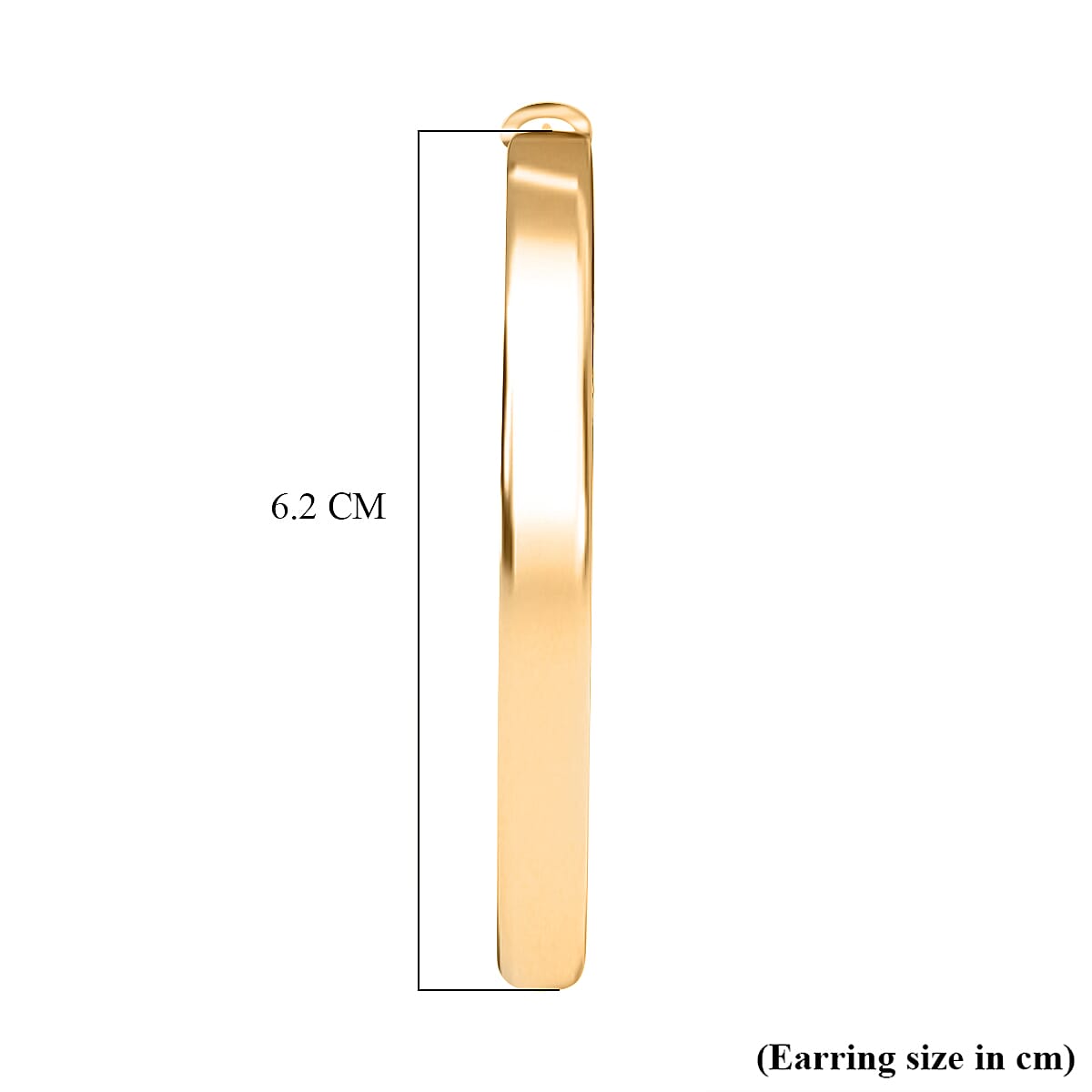 Close Out Deal - Designer Inspired Hoop Earring with Fancy Clasp 8183193 5
