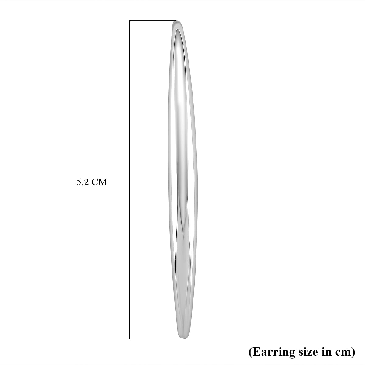 Earring in Silver Tone 8193888 6