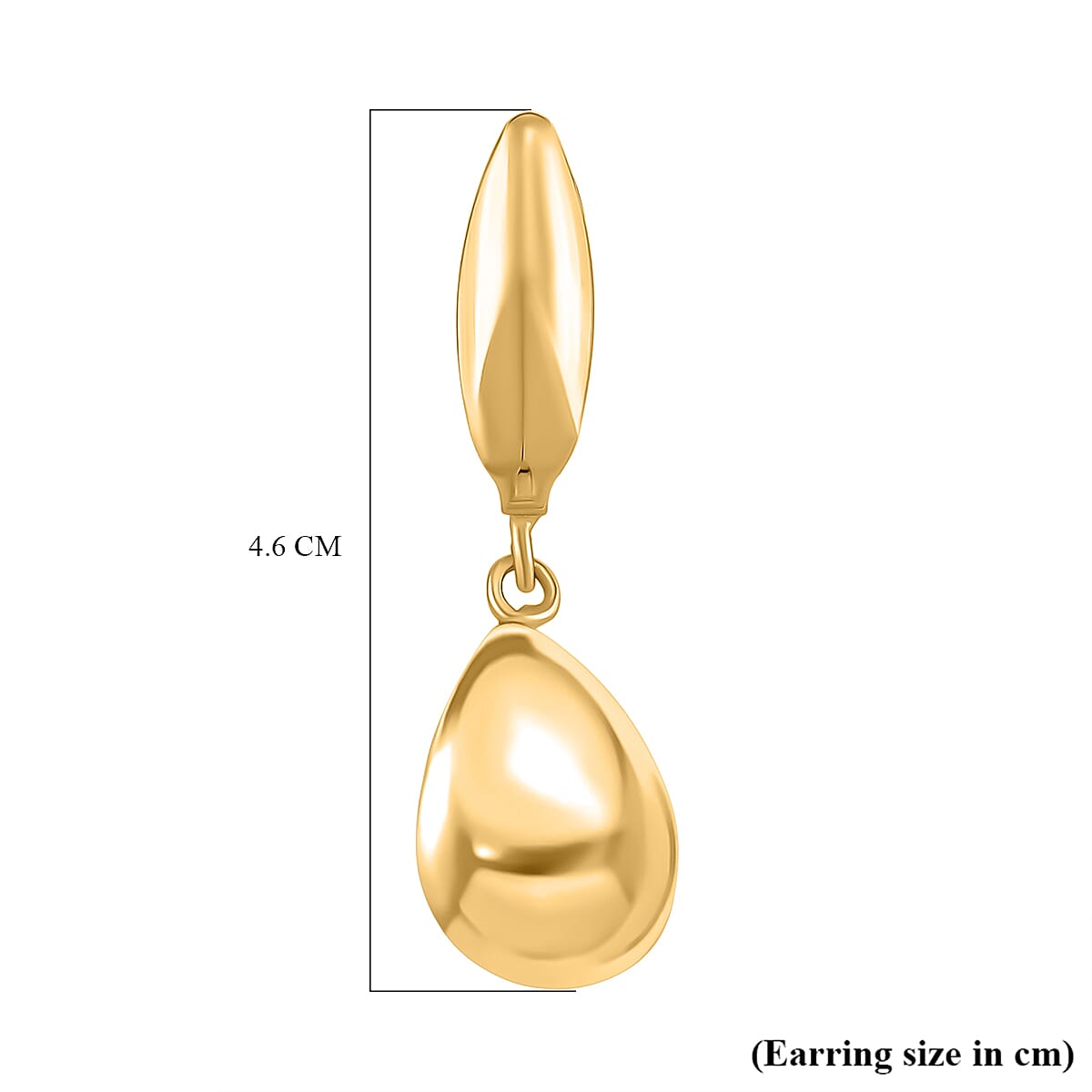 Earring with Clasp in Gold Tone 8187524 6