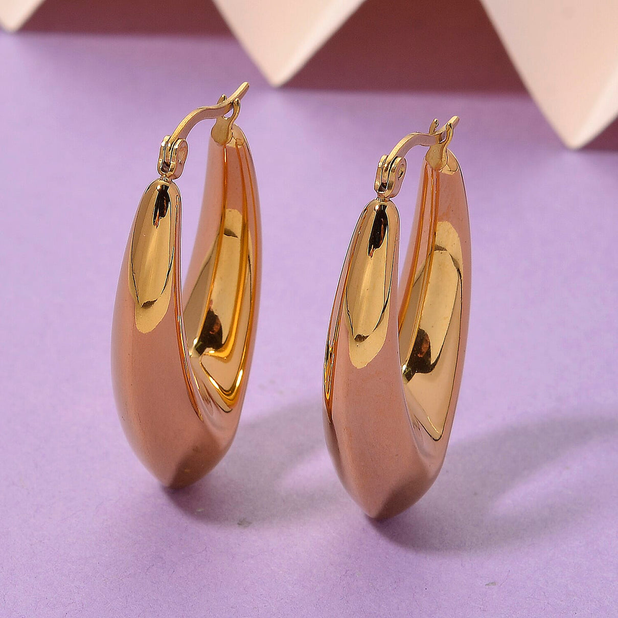 Earring with Clasp in Yellow Gold Plated 8205340 2