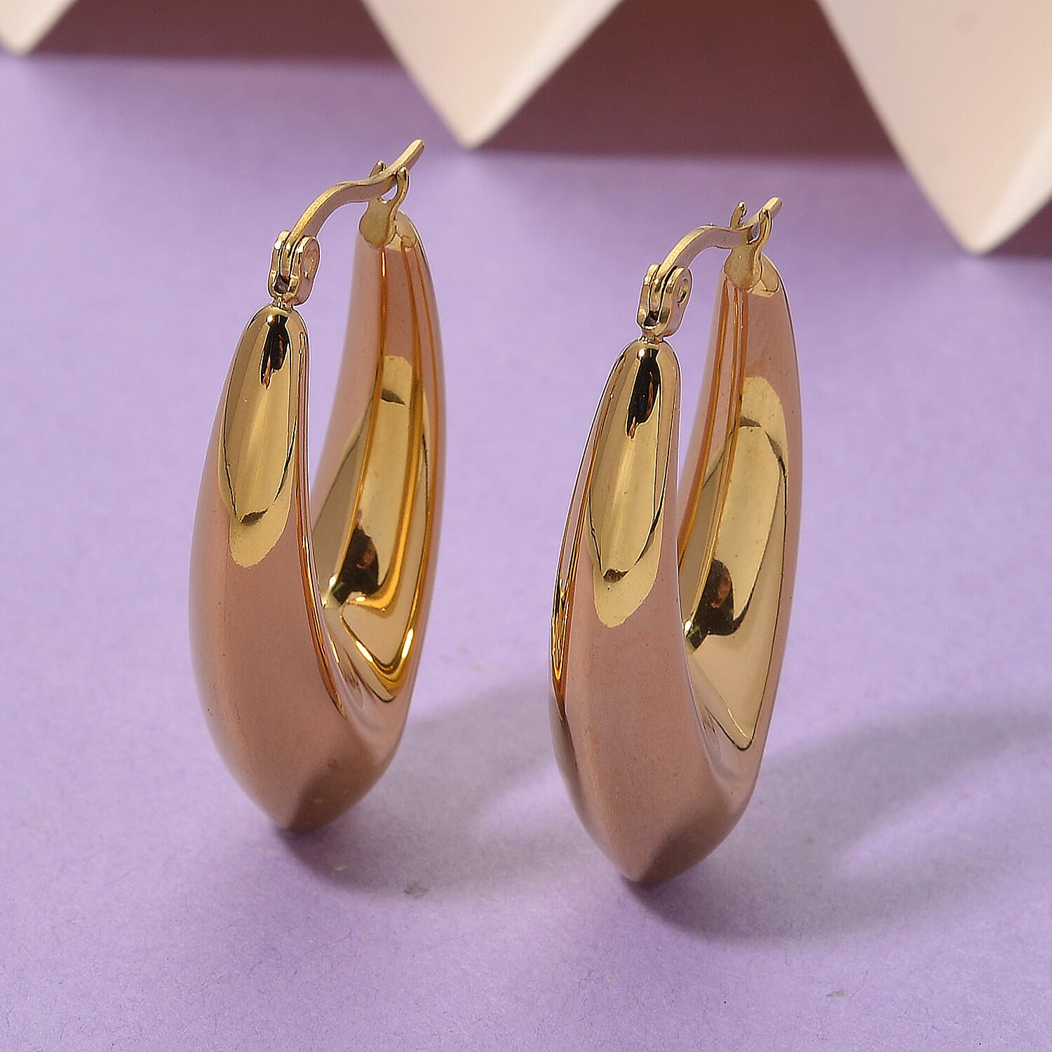 Earring with Clasp in Yellow Gold Plated 8205340 2