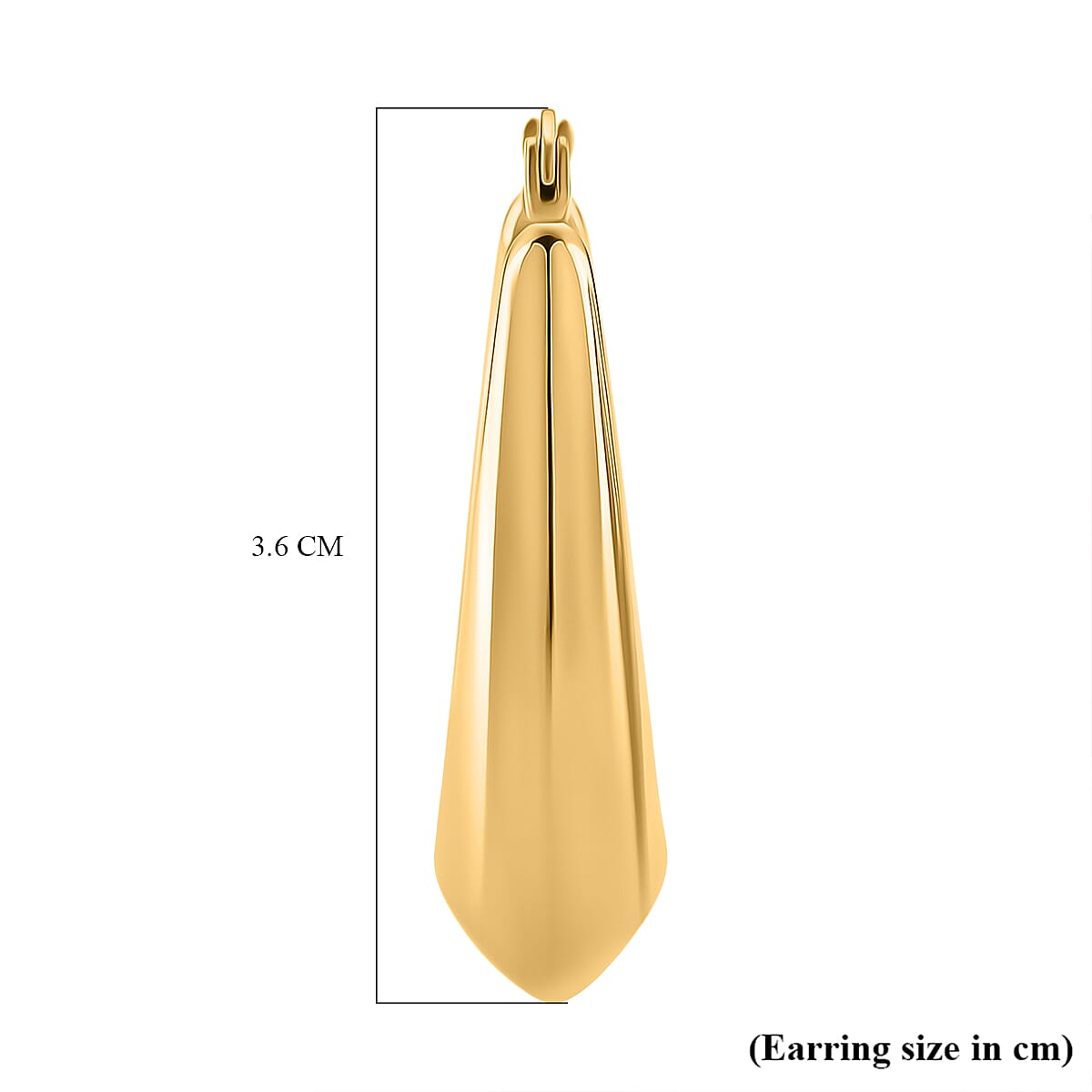 Earring with Clasp in Yellow Gold Plated 8205340 5