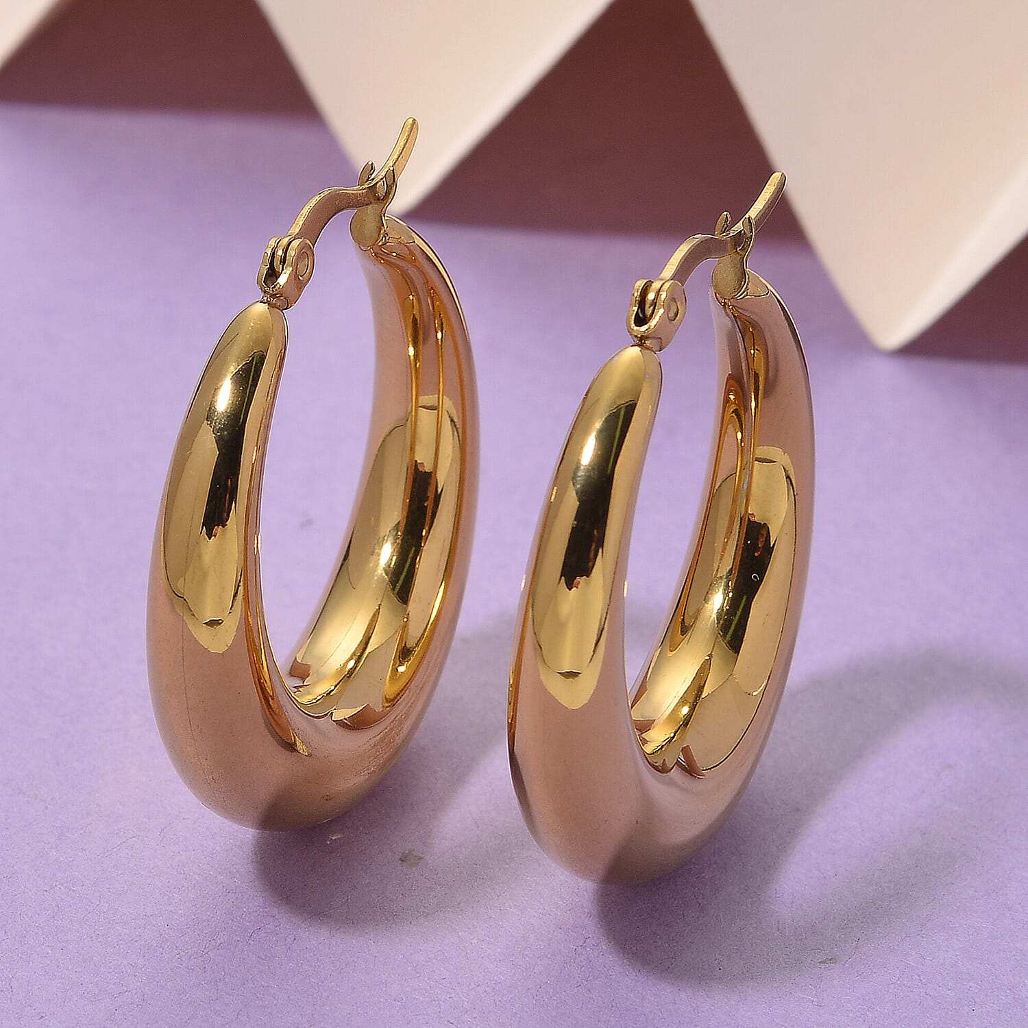 Designer Inspired - Hoop Earring with Clasp 8205389 1