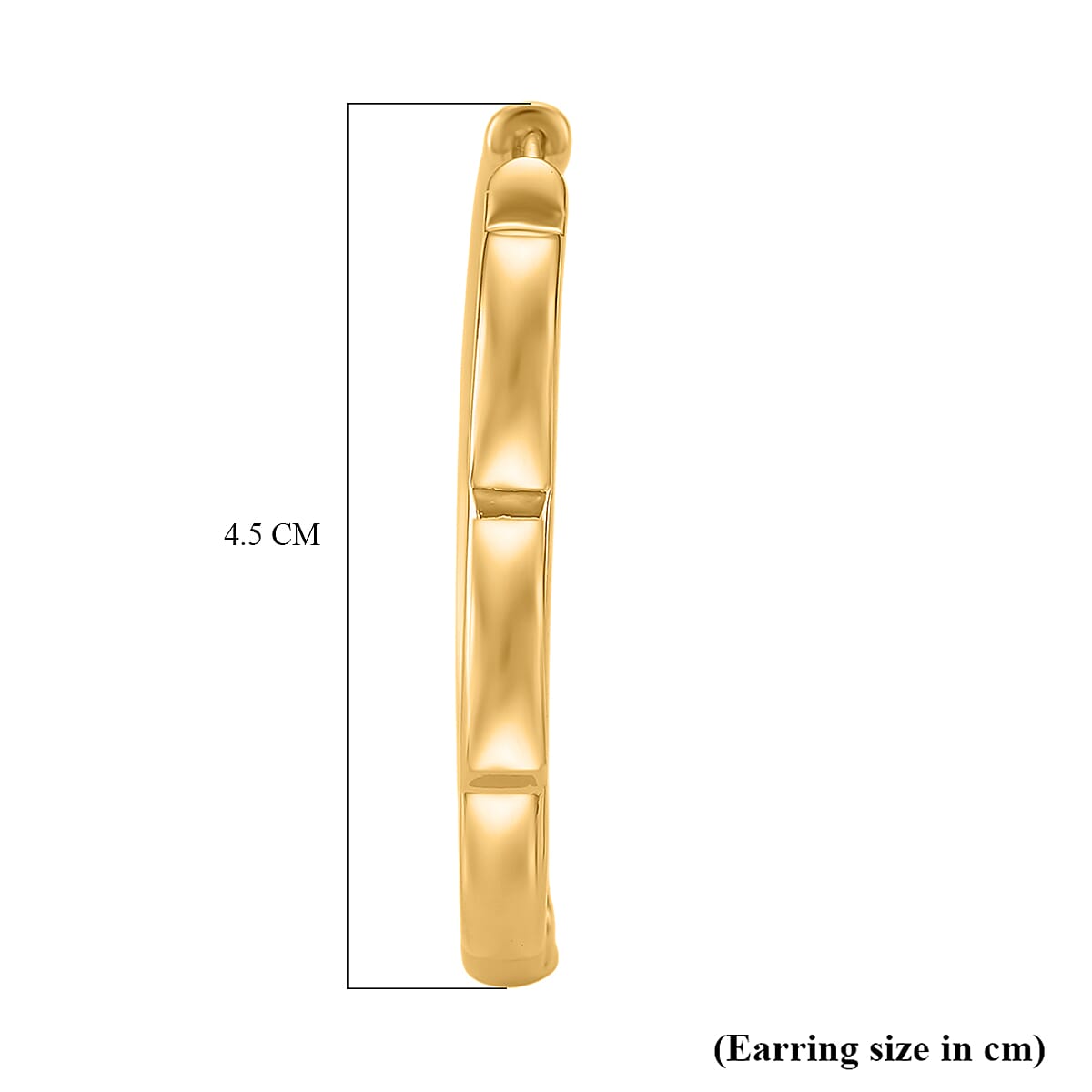 Designer Inspired Hoop earring 8197431 5