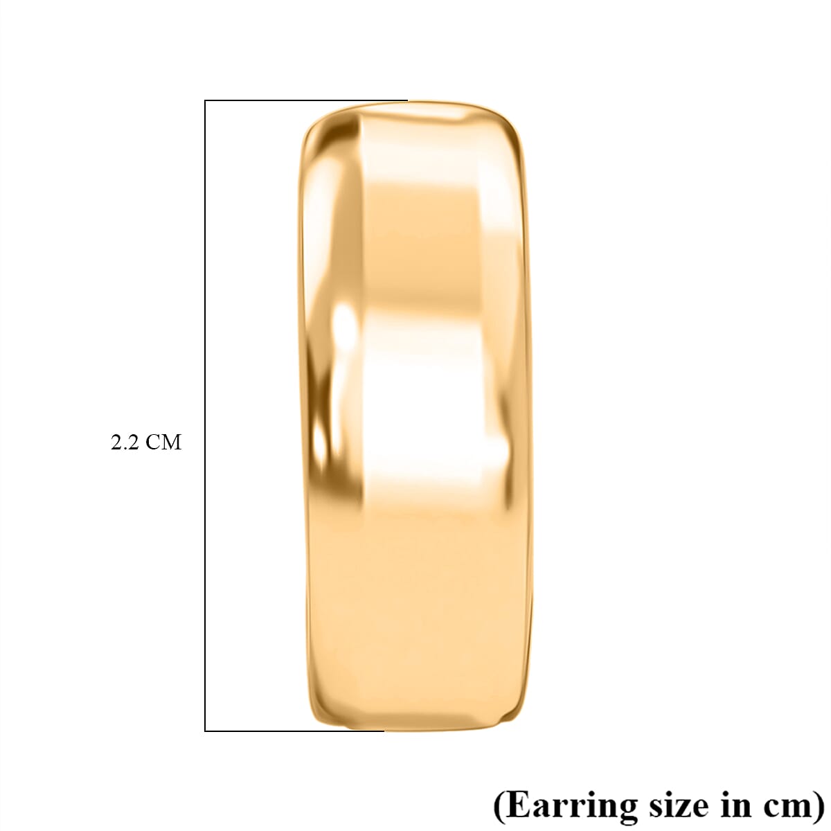 Earring with Hoop in Yellow Gold Plated 8197457 5