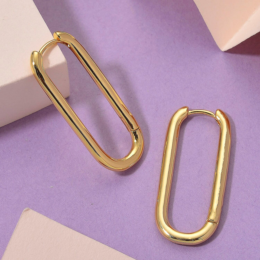Designer Inspired Hoop earrings