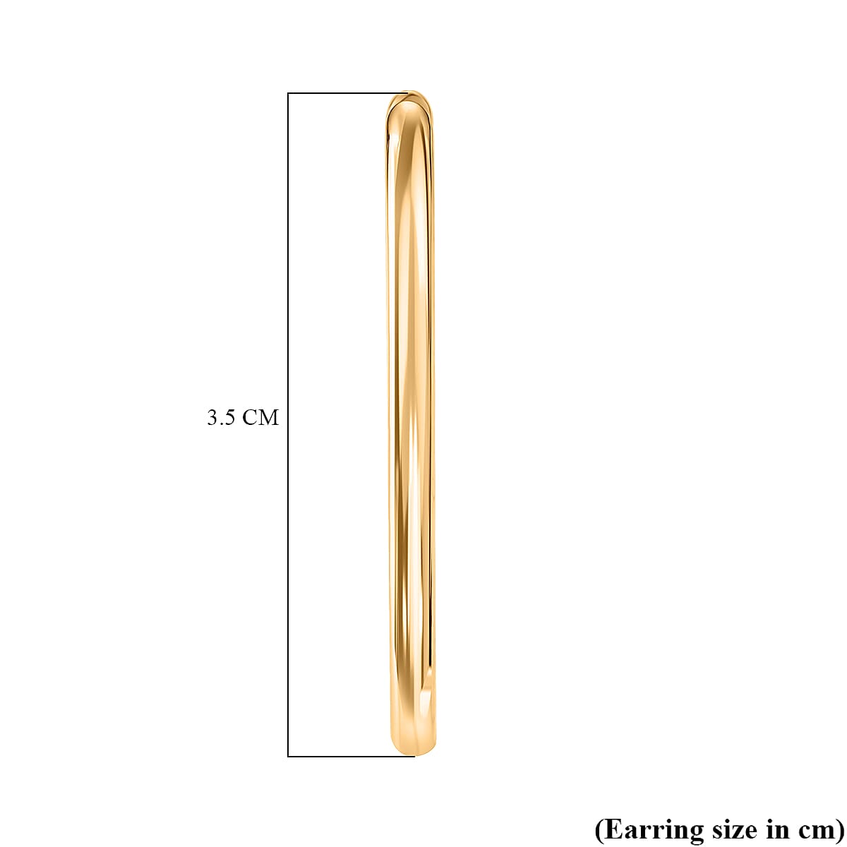 Designer Inspired Hoop earrings V32532066 5